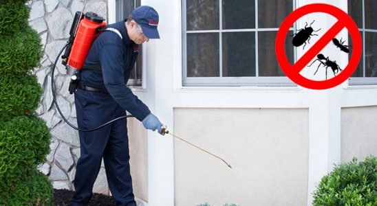Hozat Dezenfeksiyon böcek ilaçlama ve haşere kontrolü — ilaclama-tr.com